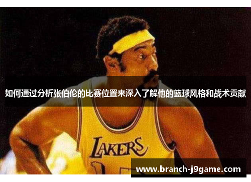 如何通过分析张伯伦的比赛位置来深入了解他的篮球风格和战术贡献