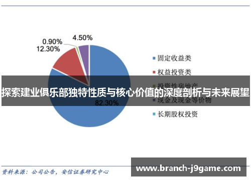探索建业俱乐部独特性质与核心价值的深度剖析与未来展望