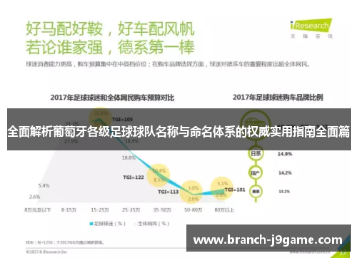 全面解析葡萄牙各级足球球队名称与命名体系的权威实用指南全面篇
